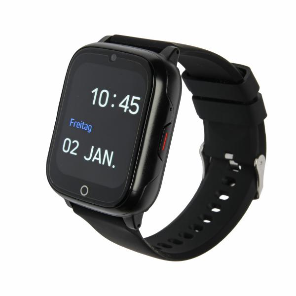 Gecko_Digital_Ansicht_2